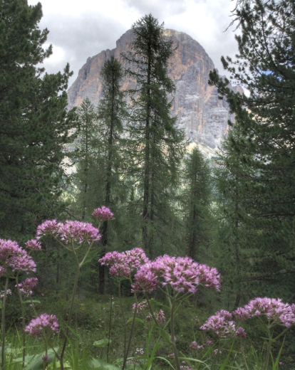 Àngels Díaz i Moliné, Les Cinque Torri. Complex muntanyós de la regió italiana del Vèneto, un paradís per als amants de la natura, “especialment per als escaladors”. “Miris on miris el paisatge et captiva”, diu l'Àngels.