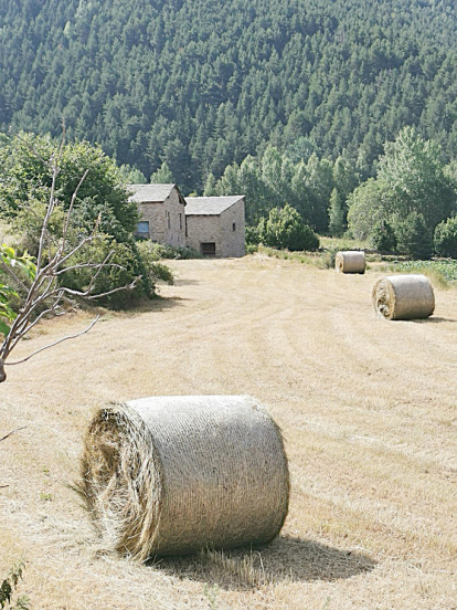Estampa estiuenca i agrícola captada per Jordi Dolcet al pla d'Engolasters després de la recollida de l'herba dels camps.