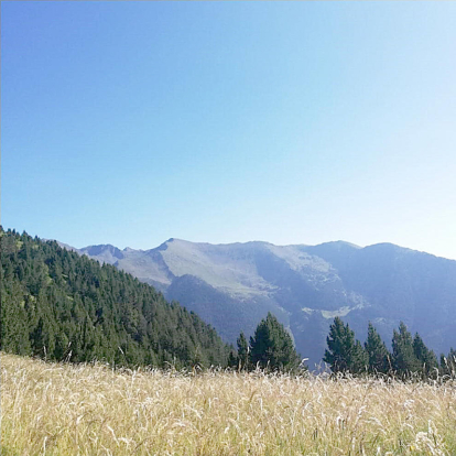 La Roser Andorrà envia una fotografia de la ruta pujant cap al pic de l'alt de la Capa pel camí del Grau que va fer el 20 de juliol.