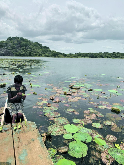“Un nen crea flors a partir de les fulles de lotus que floten al llac, per després poder donar-les als turistes a canvi d'algunes rupies. La bellesa de la contradicció”, diu Nina sobre la foto que ens envia de Sigiriya, un jaciment arqueològic de Sri Lanka.