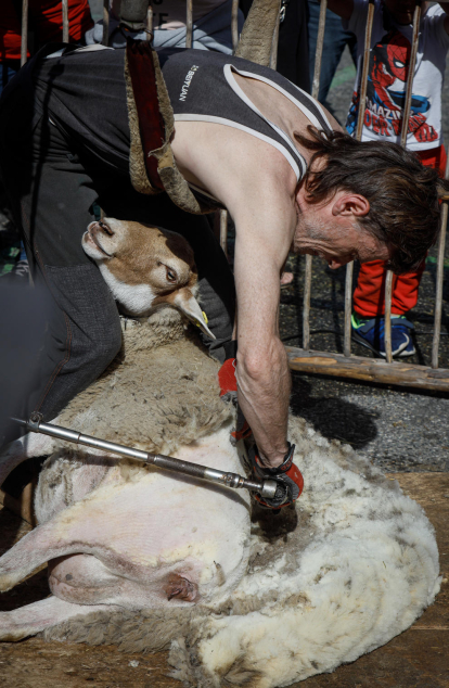 Fira del bestiar d'Ordino