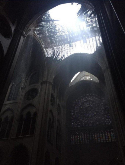 Twitter ElWazowskirojo