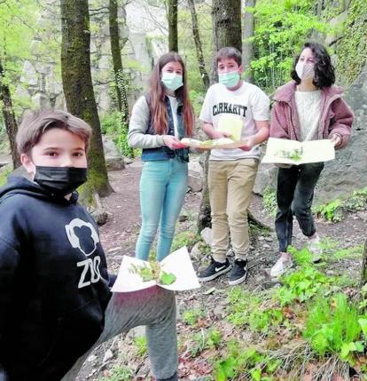Els 4 alumnes de 1r d'ESO del col·legi Mare Janer que no estan confinats van aprofitar per recollir plantes al seu bosc i premsar-les, dins l'assignatura de Biologia i Geologia.