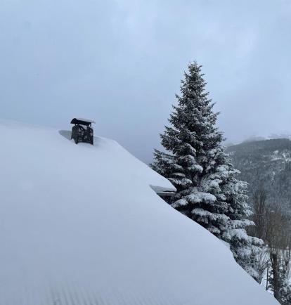 Un teulat nevat als 1.800 metres