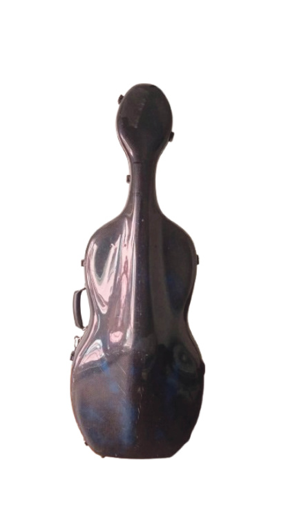 El violoncel