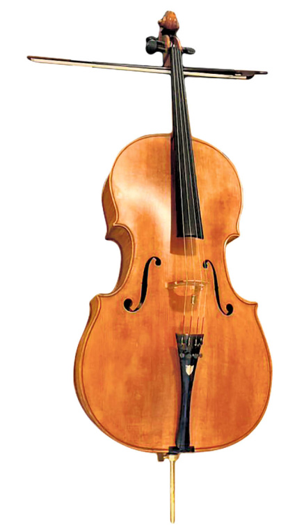 Violoncel