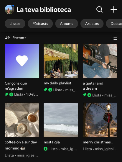 Crear playlists.