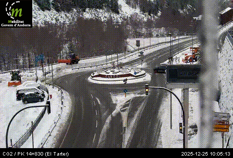 Fase groga al Tarter.