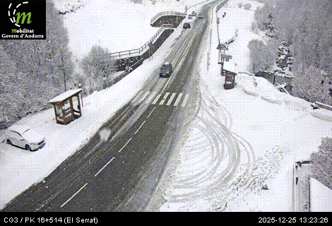 Fase groga al Serrat.