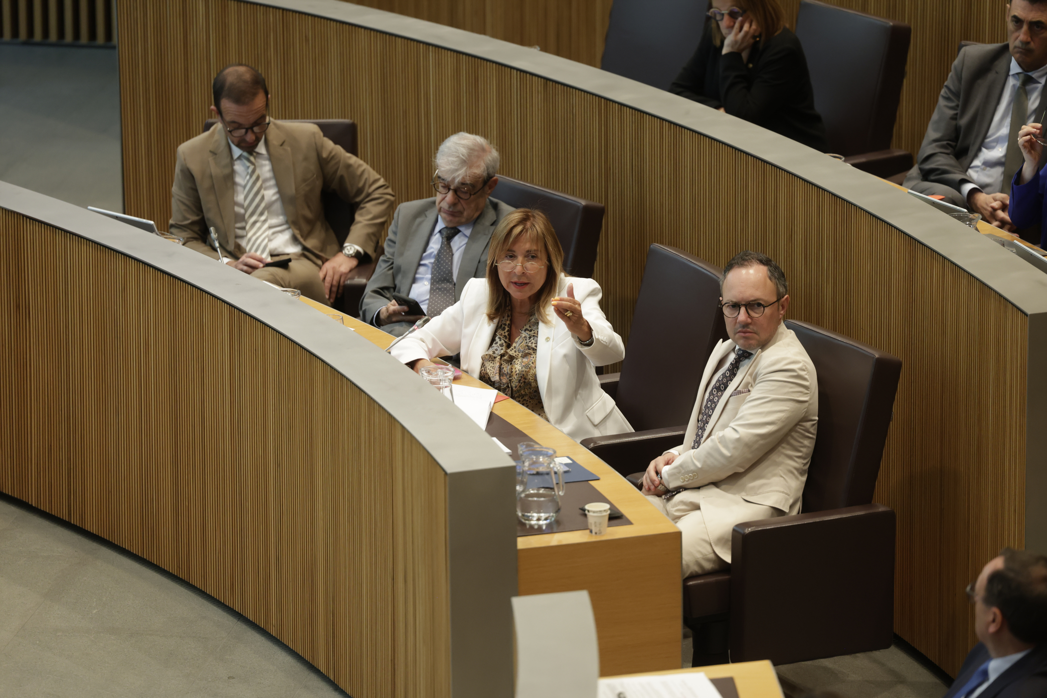 Conxita Marsol during one of yesterday's interventions.