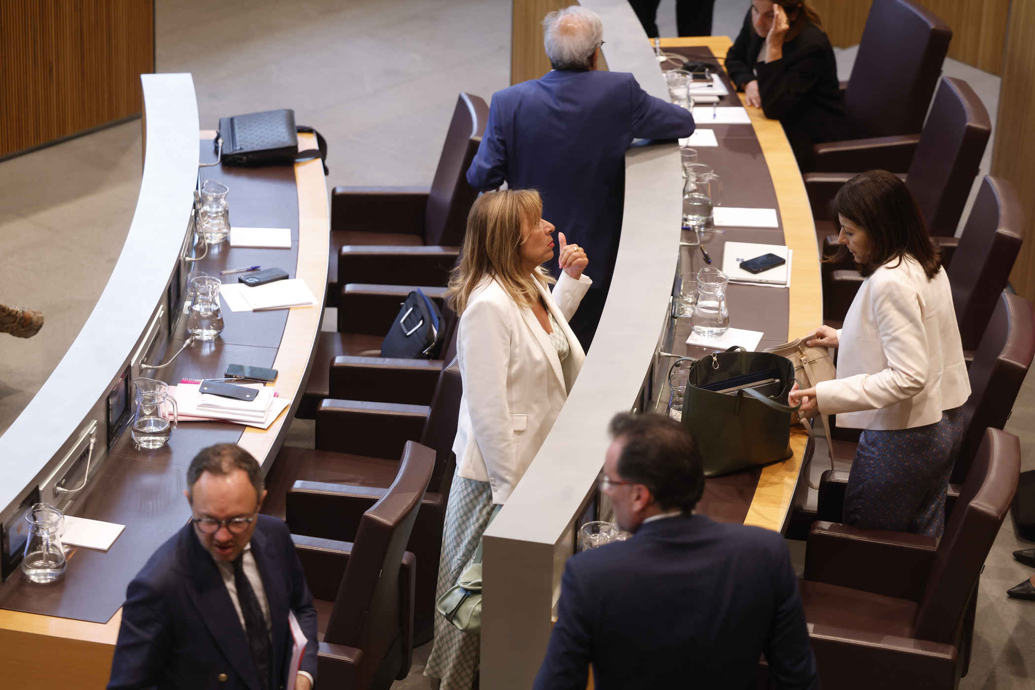 Conxita Marsol during the orientation debate.