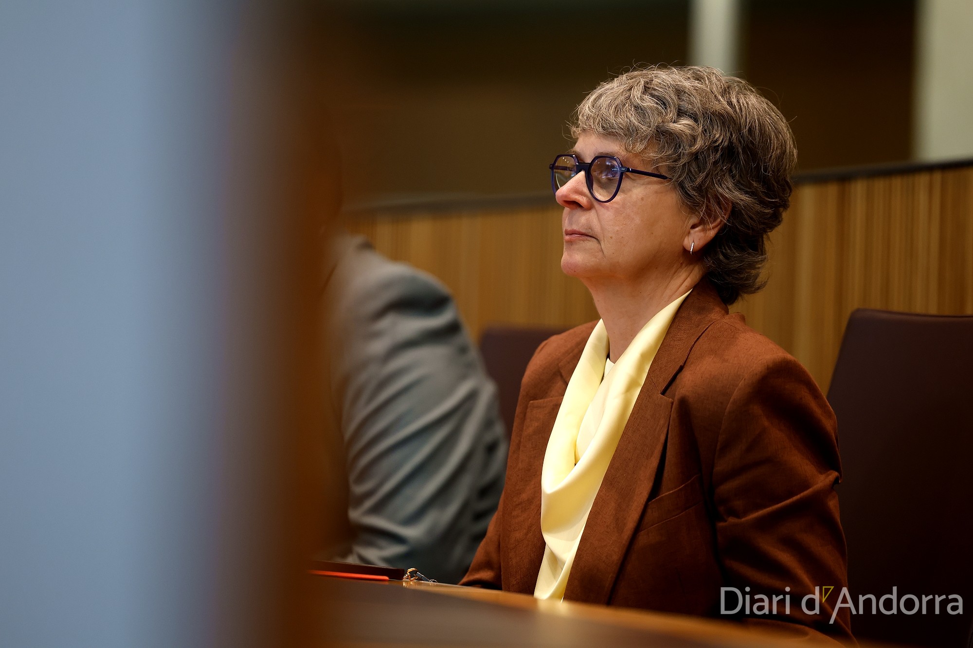 The president of the Social Democratic Parliamentary Group, Susanna Vela, at the Political Orientation Debate.