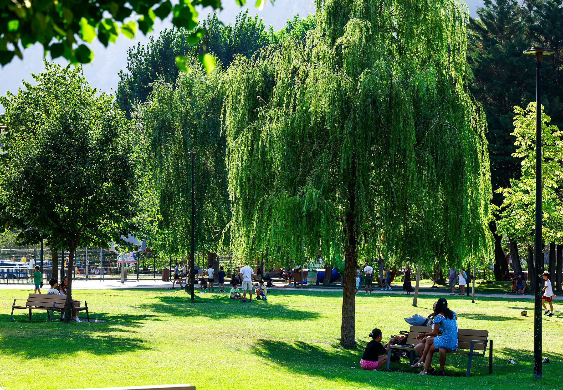 People looking for shade in Central Park yesterday.