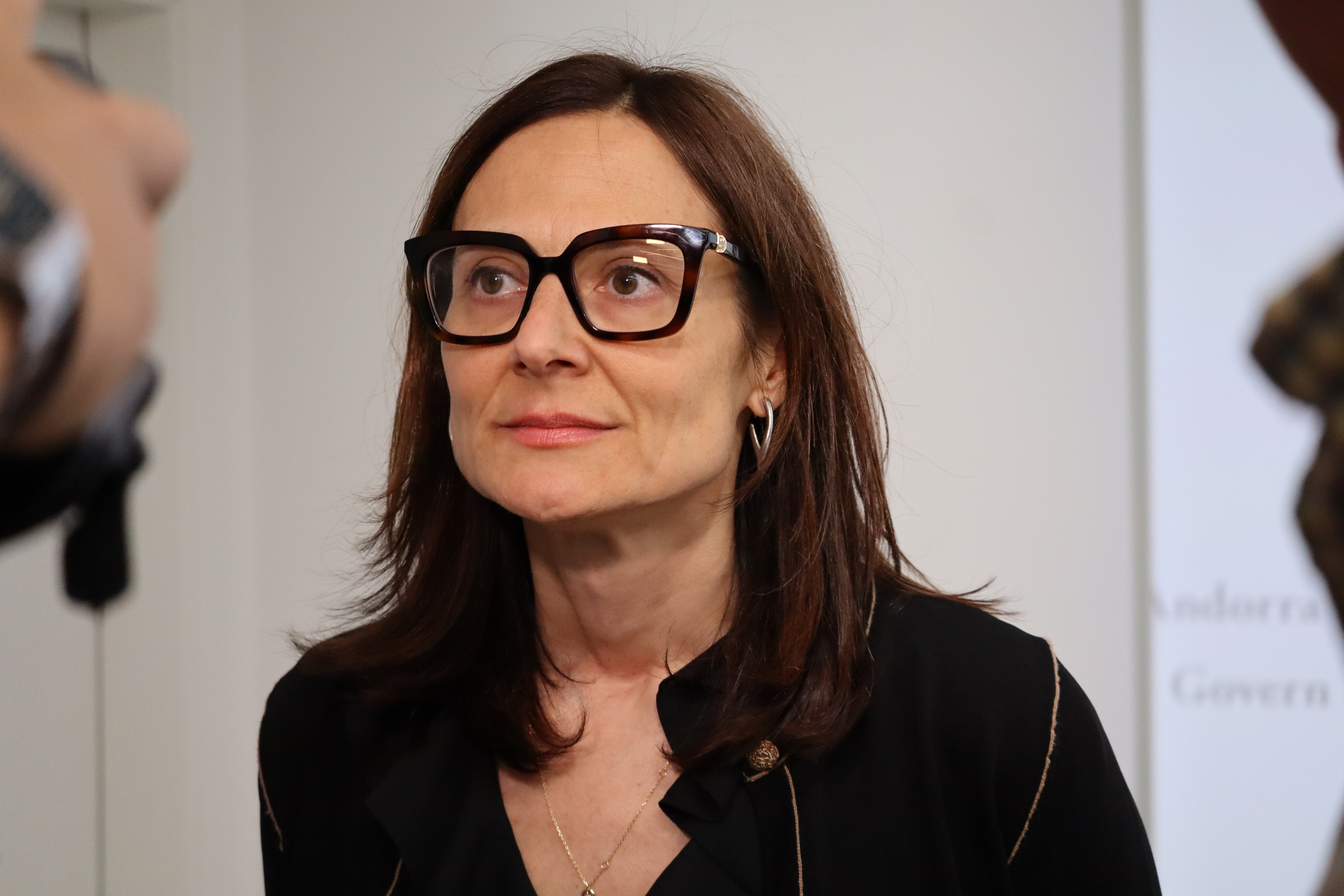 The Minister of Justice and Interior, Ester Molné, in statements this morning.