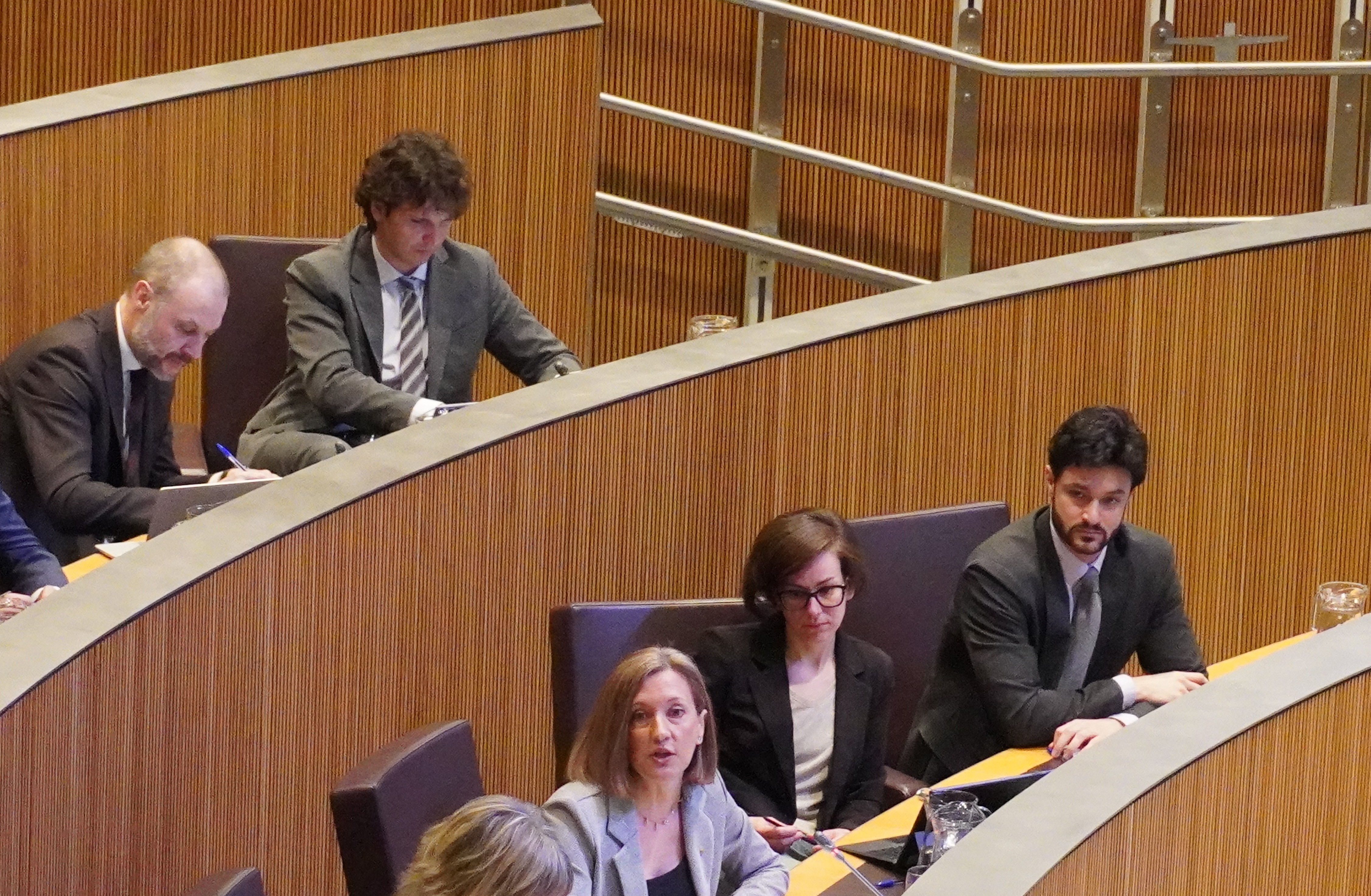 The general councilors of Concordia in the General Council.